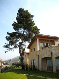 Residence C� del Lago Torri del Benaco Lago di Garda, Verona.