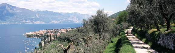 Panorama von Torri del Benaco