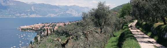 Torri del Benaco - Garda Lake